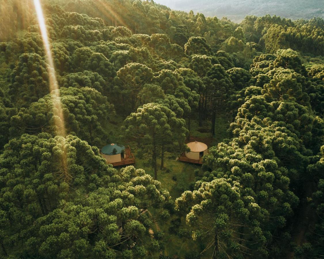 Estancia Las Araucarias Канела Экстерьер фото