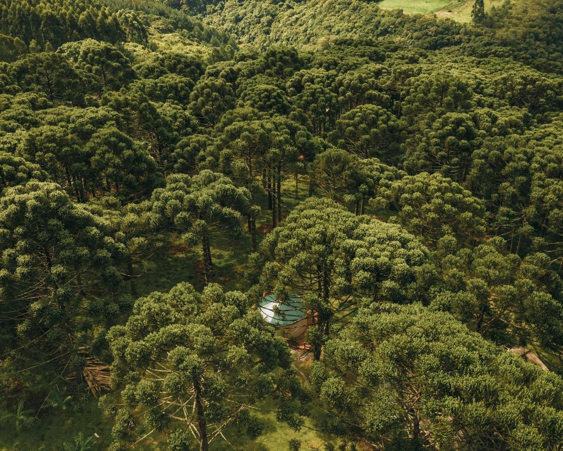 Estancia Las Araucarias Канела Экстерьер фото